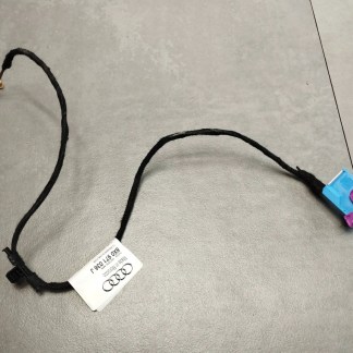 Audi A1 8X WIĄZKA DRZWI PRAWA 8X0971036J Audi A1 8X WIĄZKA DRZWI PRAWA 8X0971036J