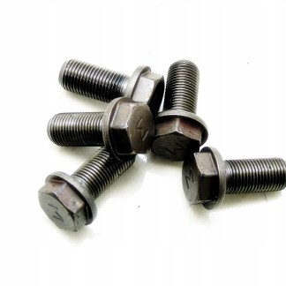 ŚRUBY KOŁA ZAMACHOWEGO NISSAN 1.4 16V ALMERA SUNNY SKZNISSAN250224 ŚRUBY KOŁA ZAMACHOWEGO NISSAN 1.4 16V ALMERA SUNNY SKZNISSAN250224