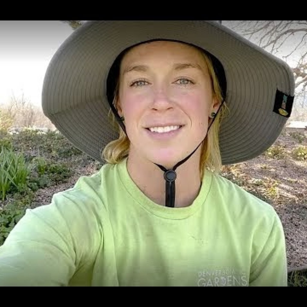 Finally! A concise, perfect how-to video for bare-root planting! Finally! A concise, perfect how-to video for bare-root planting!