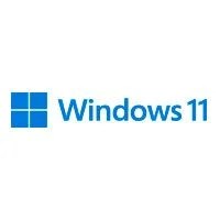 MICROSOFT OEM WINDOWS 11 PROFESIONAL 64 BITS ESPAÑOL LATAM 1 PK DSP DV