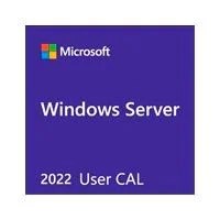 MICROSOFT OEM WINDOWS SERVER CAL 2022 SPANISH PAQUETE 1 USUARIOS LICEN