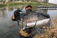 Petualangan Mancing Ikan Bandeng Di Tambak Petualangan Mancing Ikan Bandeng Di Tambak