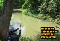 Menaklukkan Arus Deras: Pengalaman Mancing Di Sungai Menantang Menaklukkan Arus Deras: Pengalaman Mancing Di Sungai Menantang