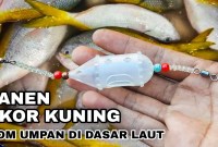 Teknik Jitu Mancing Ikan Laut Dengan Umpan Buatan Teknik Jitu Mancing Ikan Laut Dengan Umpan Buatan