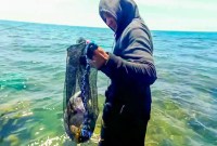 Menguasai Teknik Mancing Di Laut Dangkal: Tips Dan Trik Jitu Menguasai Teknik Mancing Di Laut Dangkal: Tips Dan Trik Jitu