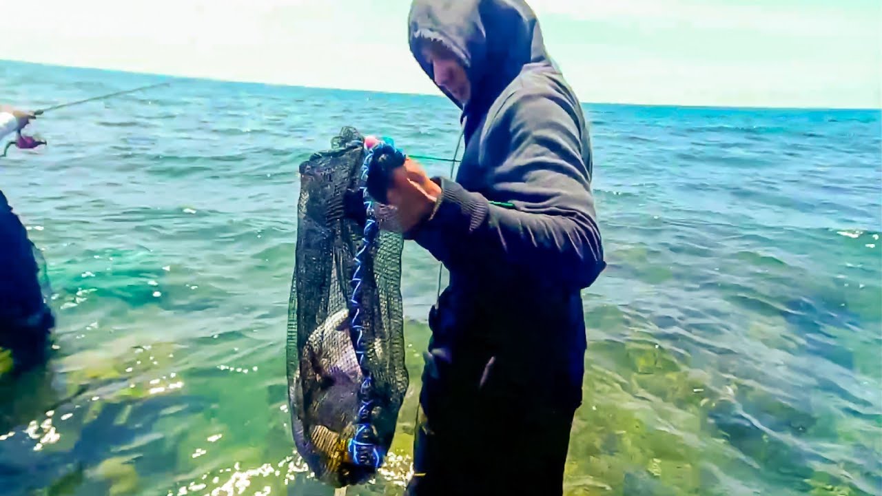 Menguasai Teknik Mancing Di Laut Dangkal: Tips Dan Trik Jitu Menguasai Teknik Mancing Di Laut Dangkal: Tips Dan Trik Jitu