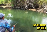 Sensasi Mancing Di Tambak Air Payau: Petualangan Seru Para Pemancing Sensasi Mancing Di Tambak Air Payau: Petualangan Seru Para Pemancing