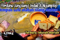 Rahasia Umpan Jitu: Cara Mudah Membuat Umpan Mancing Dari Roti Tawar Rahasia Umpan Jitu: Cara Mudah Membuat Umpan Mancing Dari Roti Tawar
