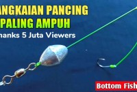 Rahasia Sukses Mancing Dasaran: Taktik Jitu Strike Ikan Di Segala Kondisi Rahasia Sukses Mancing Dasaran: Taktik Jitu Strike Ikan Di Segala Kondisi