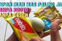 Rahasia Racikan Jitu Umpan Ikan Mas Harian: Strike Setiap Hari! Rahasia Racikan Jitu Umpan Ikan Mas Harian: Strike Setiap Hari!