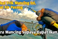 Strategi Jitu Mancing Saat Air Pasang: Tips Dan Teknik Ampuh Strategi Jitu Mancing Saat Air Pasang: Tips Dan Teknik Ampuh
