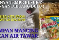 Sensasi Mancing Ekstrem: Umpan Tempe Busuk, Hasil Fantastis! Sensasi Mancing Ekstrem: Umpan Tempe Busuk, Hasil Fantastis!