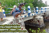 Sensasi Mancing Di Bawah Jembatan Sungai Sensasi Mancing Di Bawah Jembatan Sungai