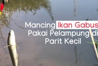 Sensasi Mancing Santai Dengan Pelampung Gabus Sensasi Mancing Santai Dengan Pelampung Gabus