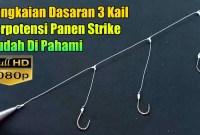 Cara Membuat Rangkaian Pancing Dasar: Panduan Lengkap Untuk Pemula Cara Membuat Rangkaian Pancing Dasar: Panduan Lengkap Untuk Pemula