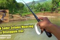 Sensasi Strike Kilat: Mancing Seru Dengan Joran Pendek! Sensasi Strike Kilat: Mancing Seru Dengan Joran Pendek!