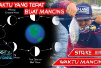 Kapan Waktu Terbaik Untuk Mancing? Kapan Waktu Terbaik Untuk Mancing?