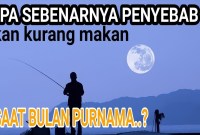 Tips Mancing Saat Bulan Purnama: Rahasia Sukses Di Malam Terang Tips Mancing Saat Bulan Purnama: Rahasia Sukses Di Malam Terang
