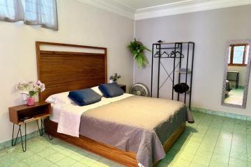 Casa Copal, Oaxaca City (updated prices 2025) Casa Copal, Oaxaca City (updated prices 2025)