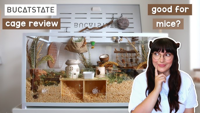 Best Syrian Hamster Cage Reviews 2023 Best Syrian Hamster Cage Reviews 2023