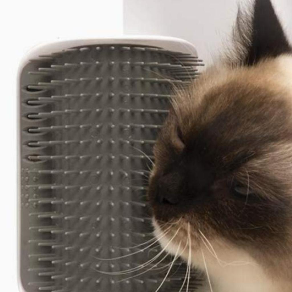 Pet House owners Adore This Self-Grooming Instrument With Over 30,000 Evaluations for Giving Their Pets That Additional Love Pet House owners Adore This Self-Grooming Instrument With Over 30,000 Evaluations for Giving Their Pets That Additional Love