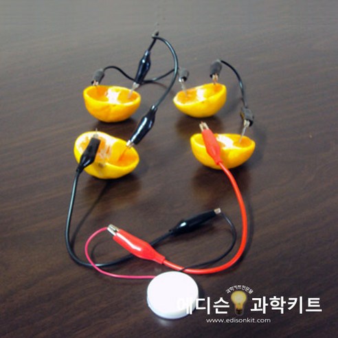 과일전지 만들기 멜로디버저(1인용)