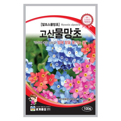 고산 물망초 씨앗 꽃씨 100립 꽃씨앗 세계종묘 모칸도, 3개