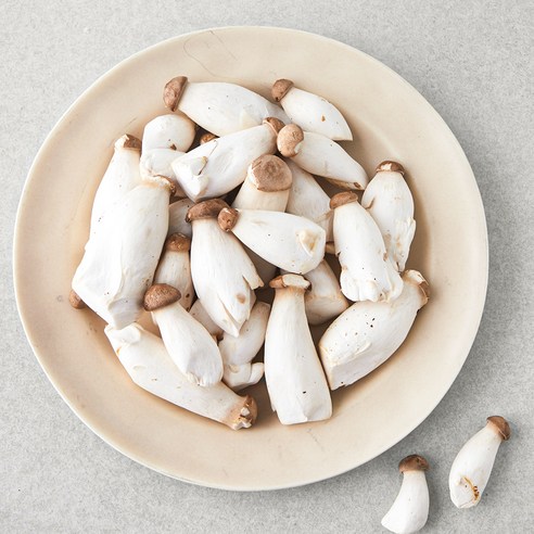 미니 새송이버섯, 300g, 1개