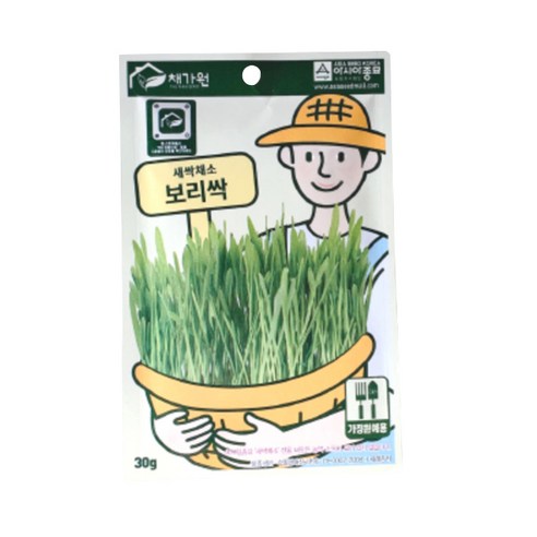 보리싹 캣그라스 30g, 5개, 보리