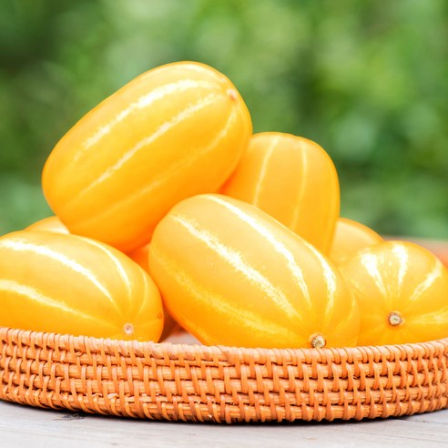 [달과향] 산지직송 당도선별 성주참외 꼬마소과 1kg, 1박스, 가정용 참외 꼬마소과 1kg