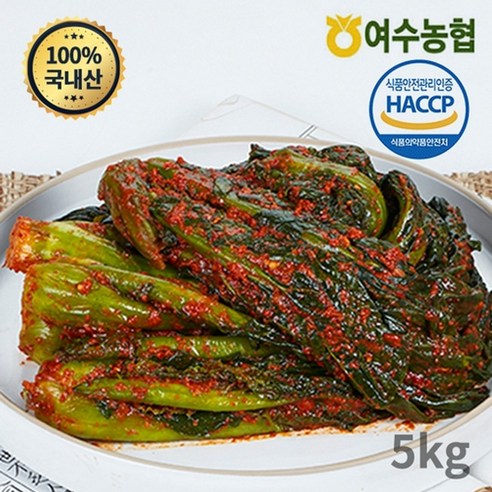 여수농협 [여수농협] 여수돌산 갓김치 5kg, 1개, 기타