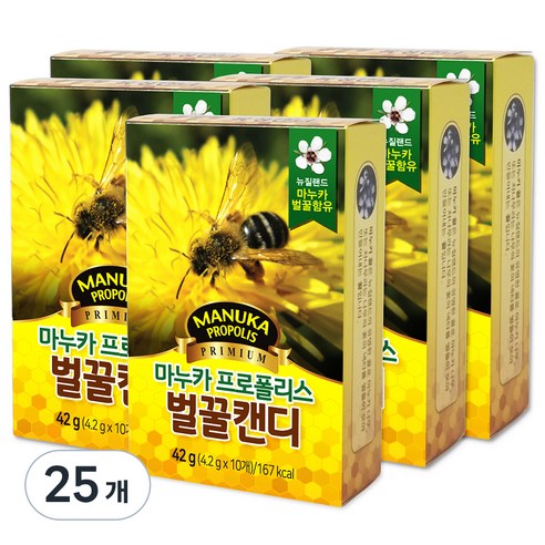 마누카 프로폴리스 벌꿀캔디목캔디, 42g, 1개