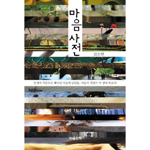 마음사전:감성과 직관으로 헤아린 마음의 낱말들 마음의 경영이 이 생의 목표다!, 마음산책, 김소연 저