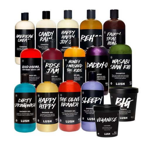 러쉬 샤워 젤 샴푸 컨디셔너 16종 500g Lush 바디워시 헤어케어, 더티 스프링워시 샤워 젤 500g, 1개