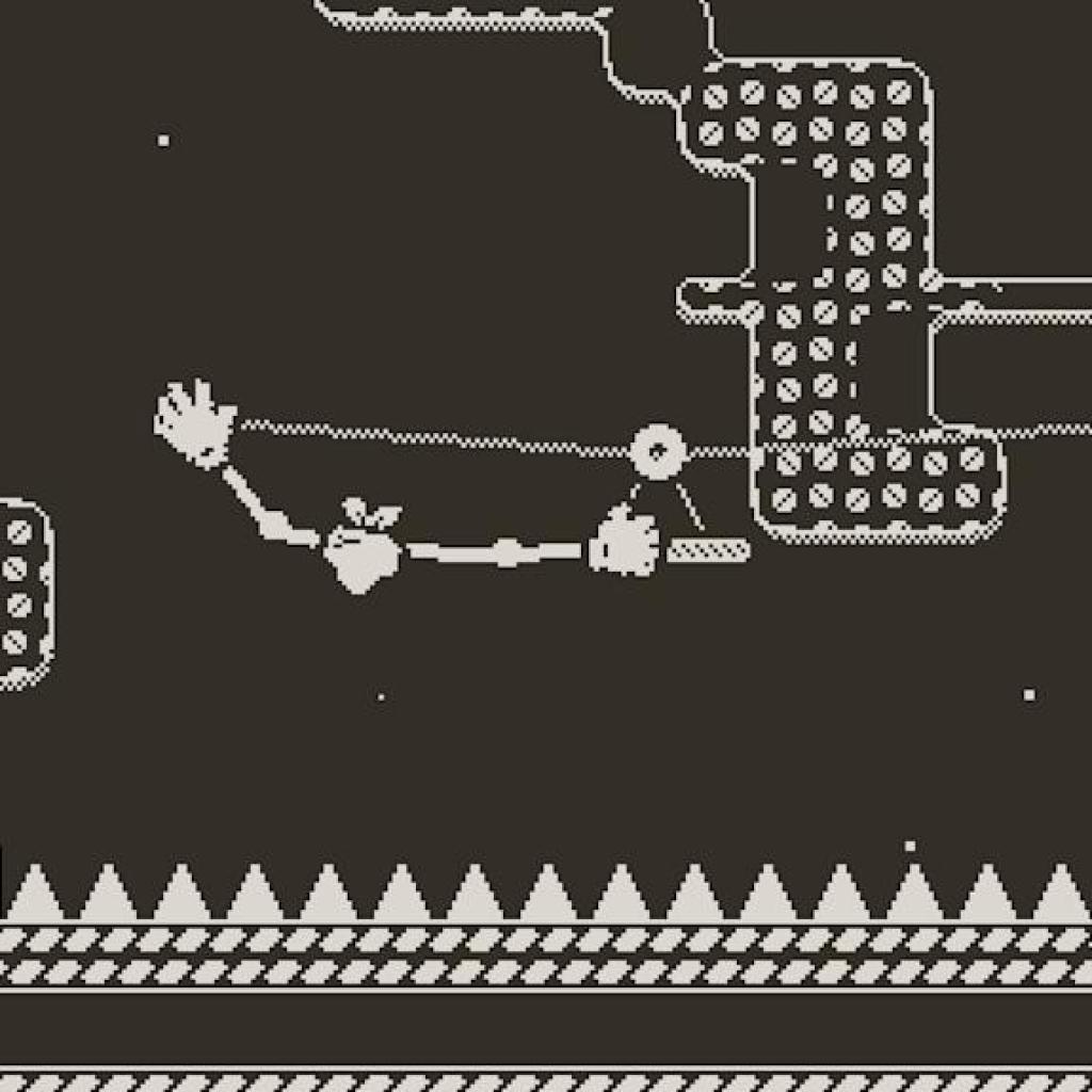 Tiny turnip and chances lucky escape Tiny turnip and chances lucky escape