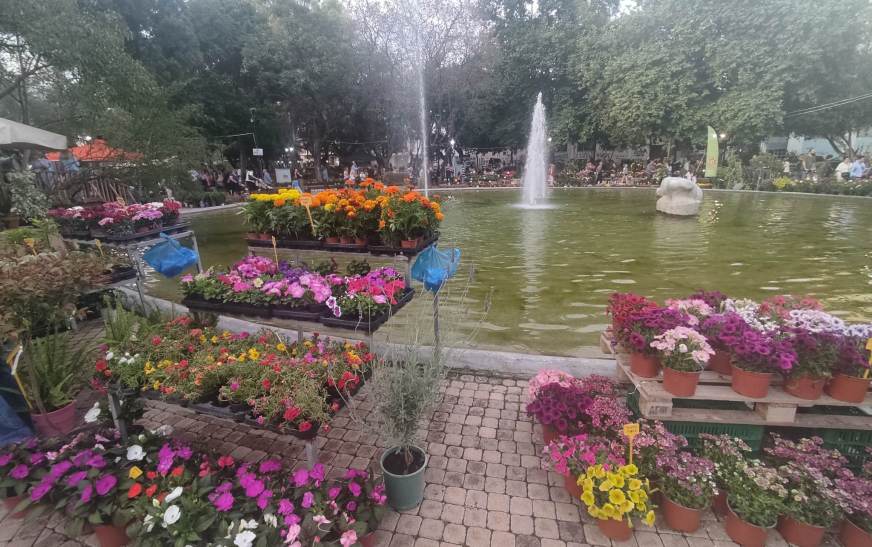 12η Ανθοκομική του Δήμου Καλαμάτας 12η Ανθοκομική του Δήμου Καλαμάτας