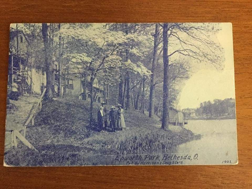 Postcard: Lake shore Postcard: Lake shore