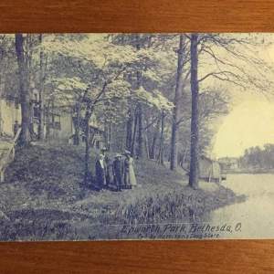 Postcard: Lake shore Postcard: Lake shore