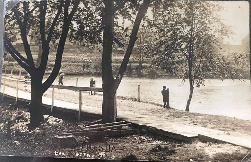 Lake shore Lake shore