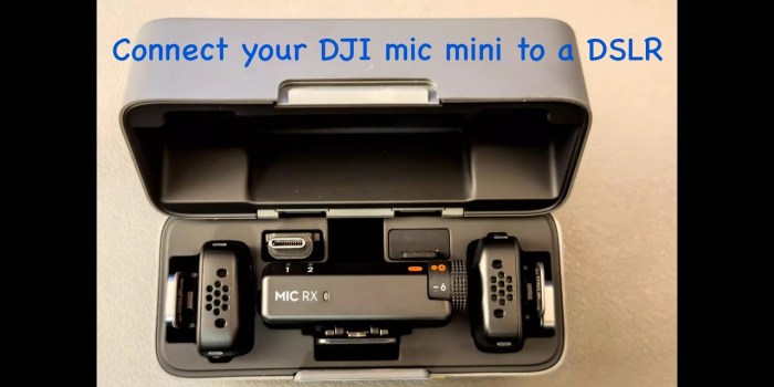 mic mini to any DSLR camera (nikon D3300) mic mini to any DSLR camera (nikon D3300)