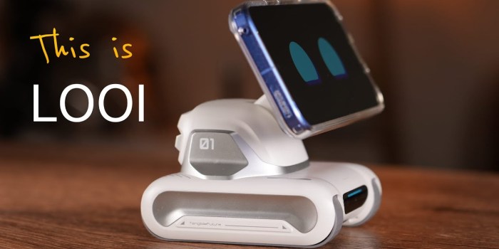 Looi Robot – The Futuristic Personal Robotic Companion Looi Robot – The Futuristic Personal Robotic Companion