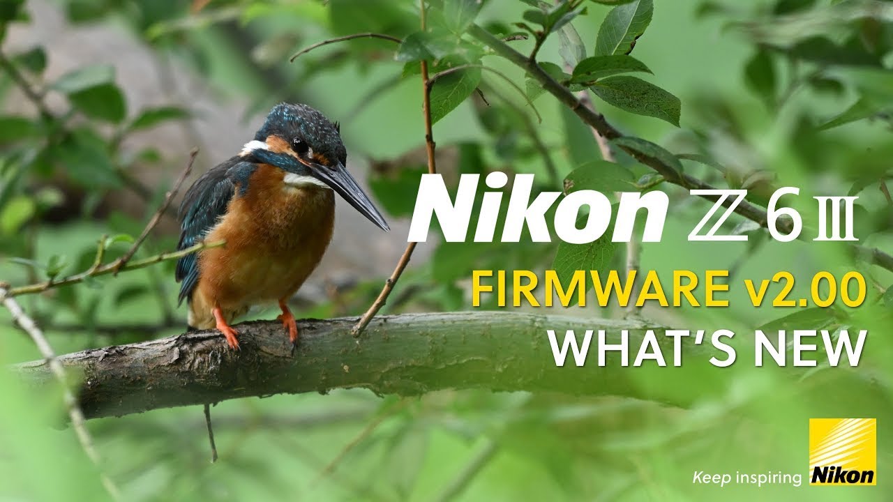 Nikon Z 6iii | Firmware version 2.00 | News Nikon Z 6iii | Firmware version 2.00 | News