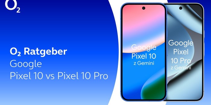 Google Pixel 10 vs. 10 Pro: The comparison Google Pixel 10 vs. 10 Pro: The comparison