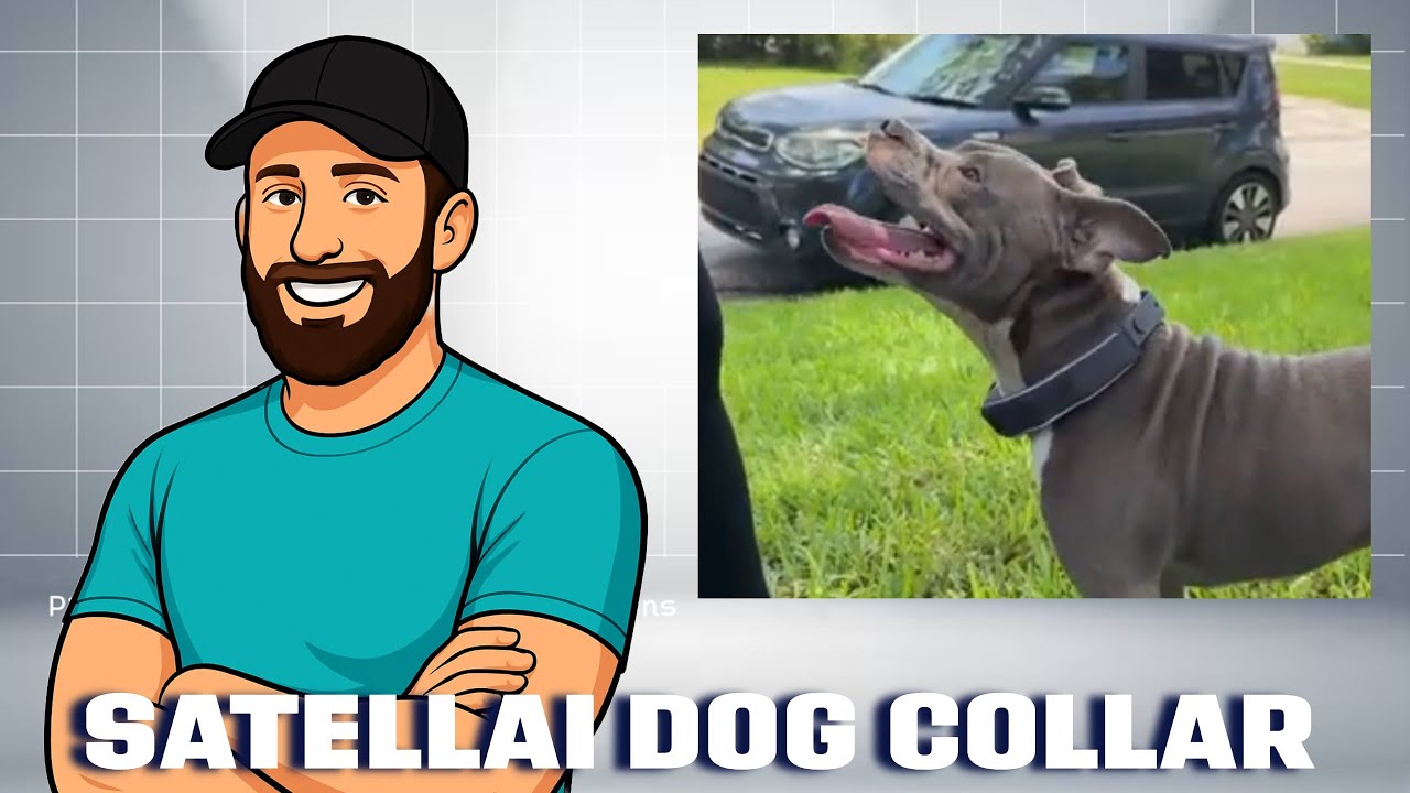 Satellai Collar-pagar anjing nirkabel GPS paling canggih dengan wawasan AI, pelacakan GPS, dan banyak lagi Satellai Collar-pagar anjing nirkabel GPS paling canggih dengan wawasan AI, pelacakan GPS, dan banyak lagi