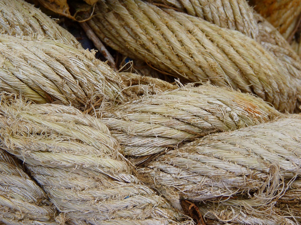 Source image: LoggaWiggler / pixabay Source image: LoggaWiggler / pixabay