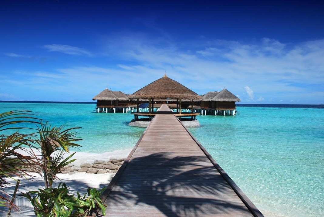 Source image: romaneau / Pixabay Source image: romaneau / Pixabay
