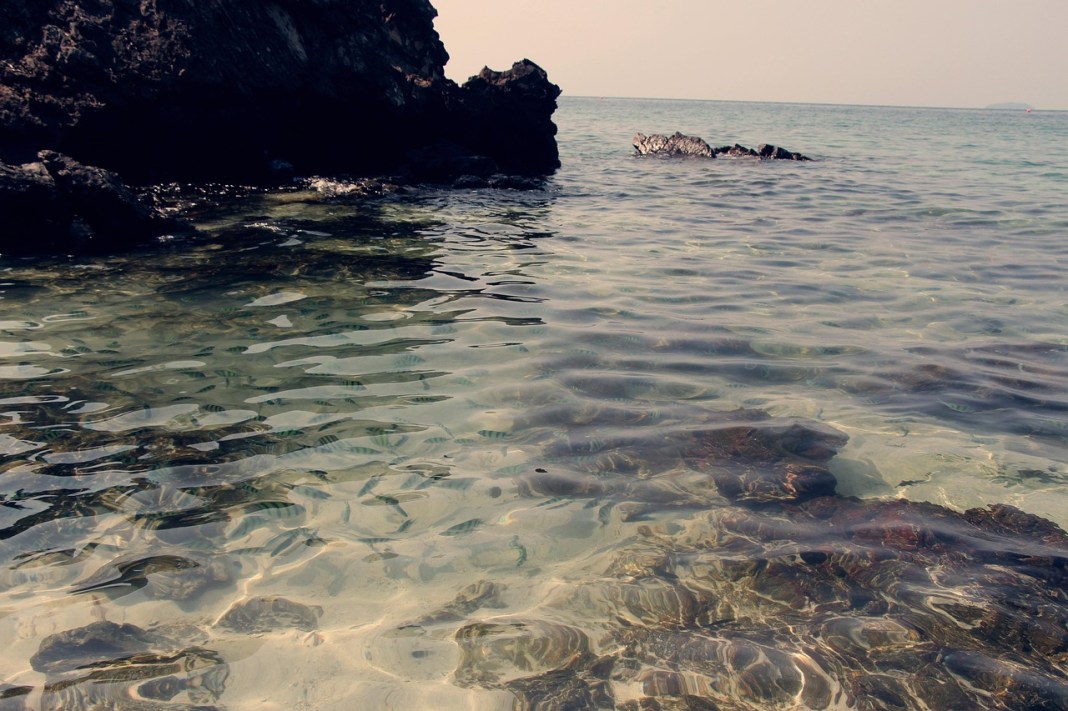 Source image: hosynth / Pixabay Source image: hosynth / Pixabay