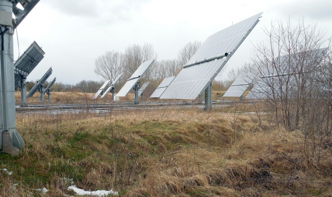 Solar farms can boost biodiversity, experts show with new guide Solar farms can boost biodiversity, experts show with new guide