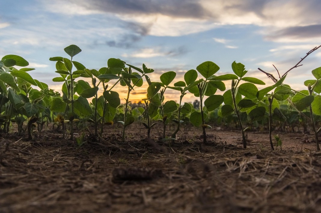 Source image: tookapic / Pixabay Source image: tookapic / Pixabay