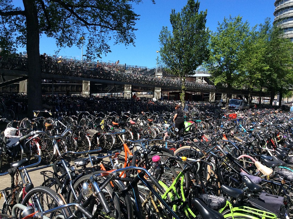 Source image: Separatus / Pixabay Source image: Separatus / Pixabay